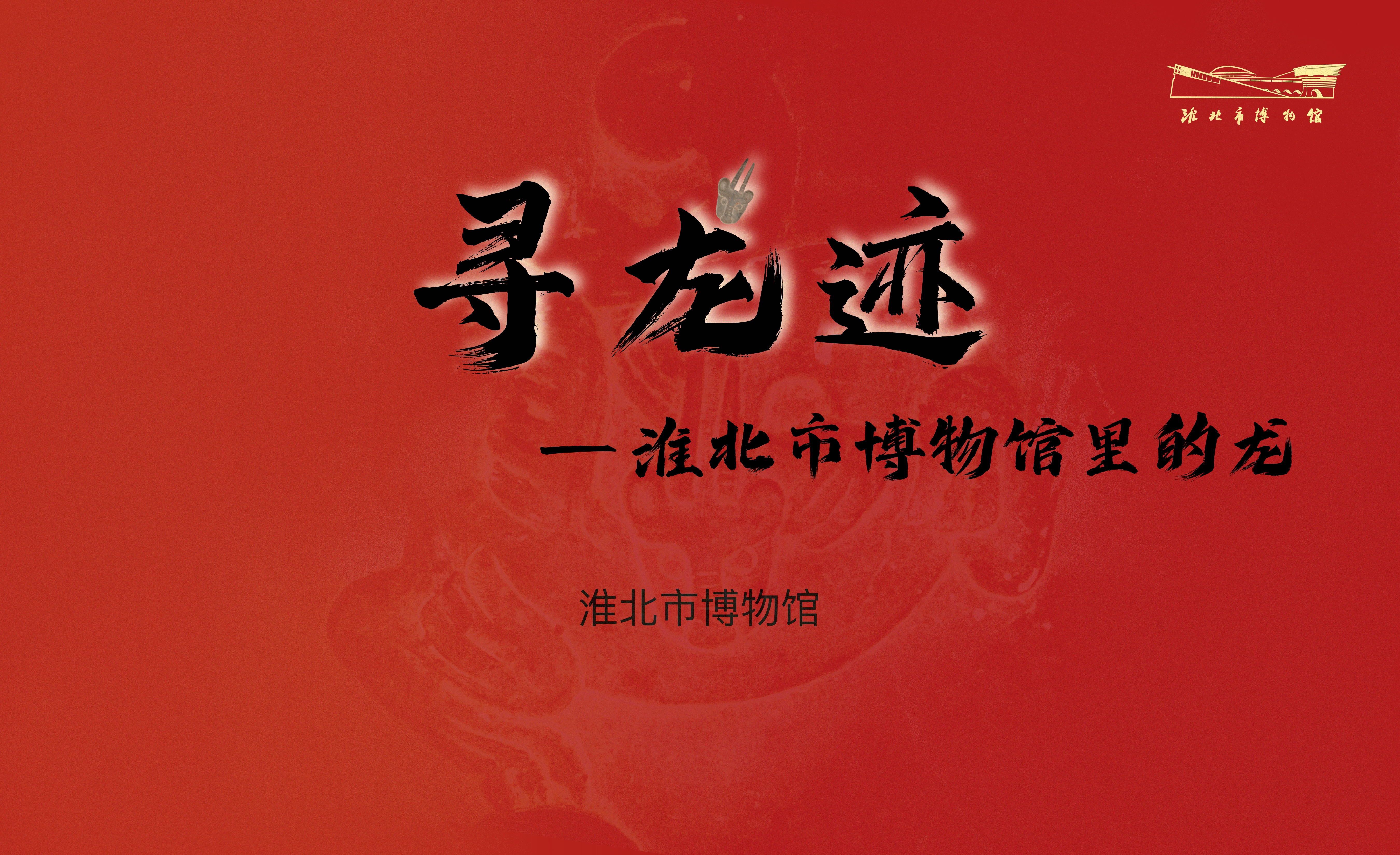 新展推荐：寻龙迹—淮北市博物馆里的“百变神龙”预告