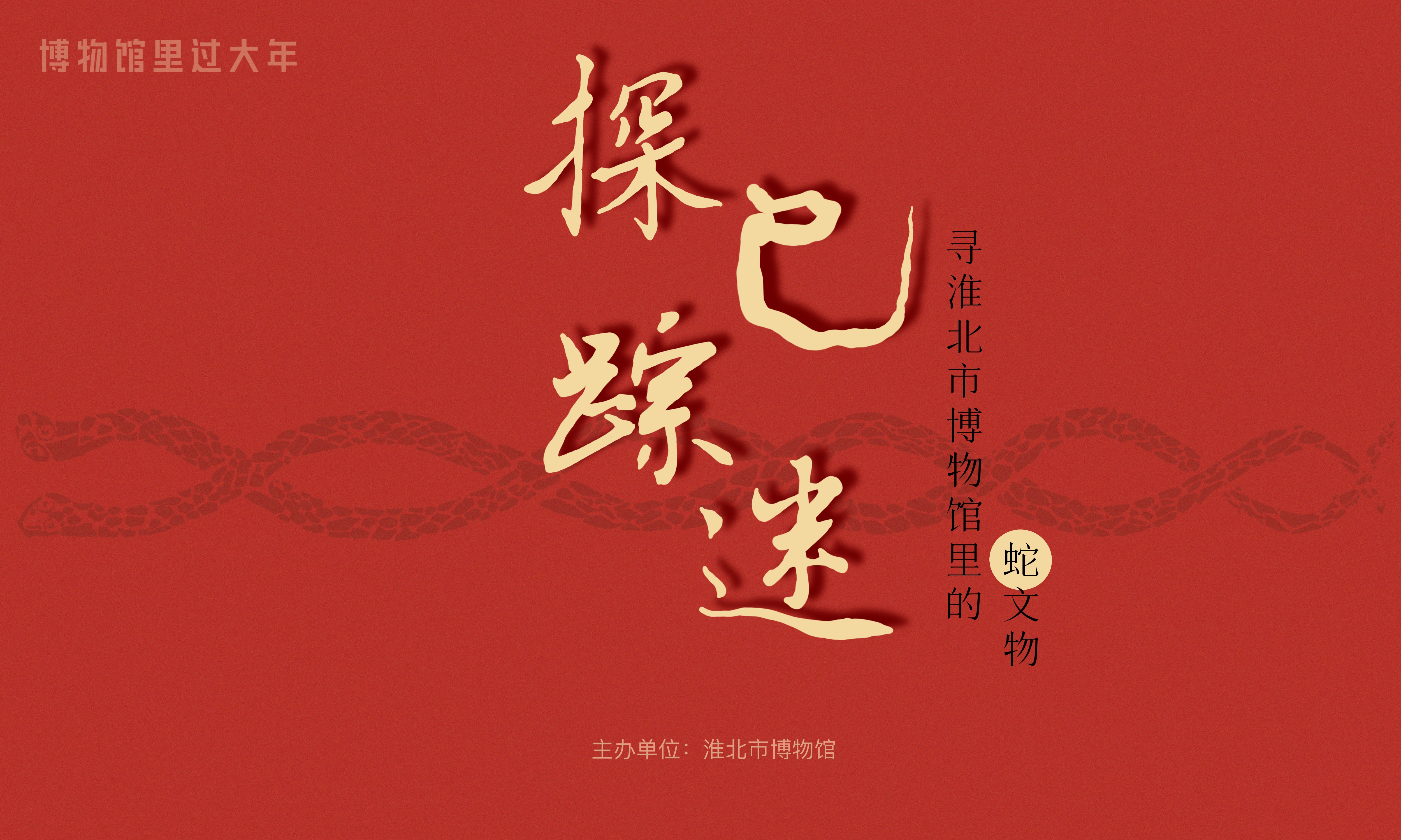 新展推荐：探巳踪迷—寻淮北市博物馆里的蛇文物