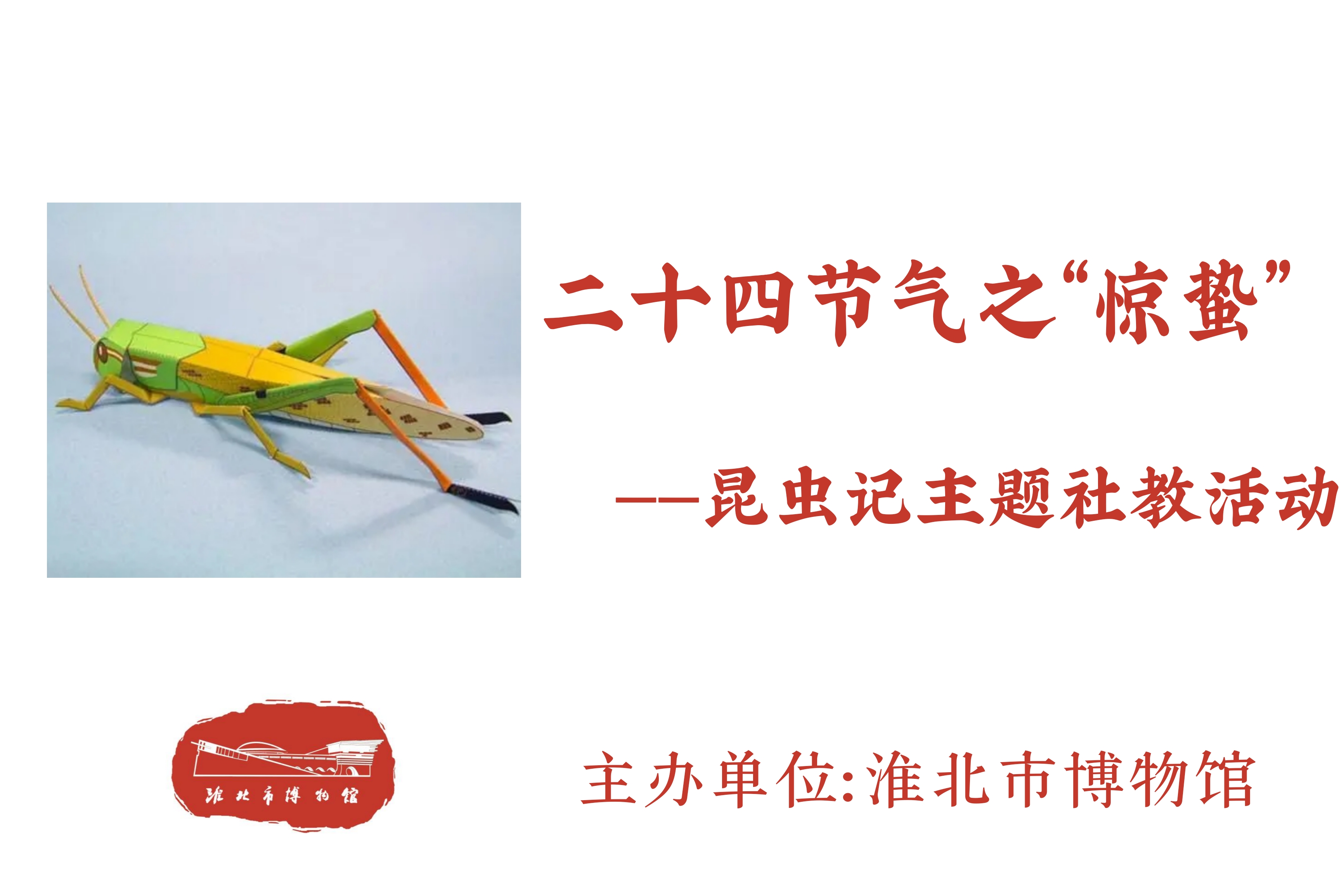 昆虫 昆虫