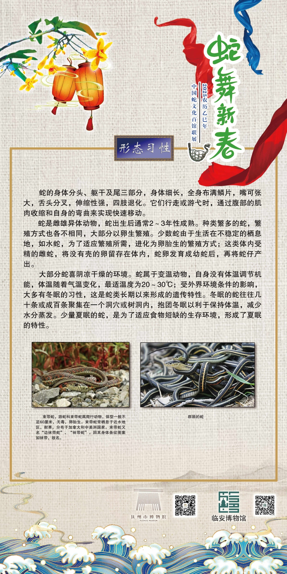 005_看图王_看图王