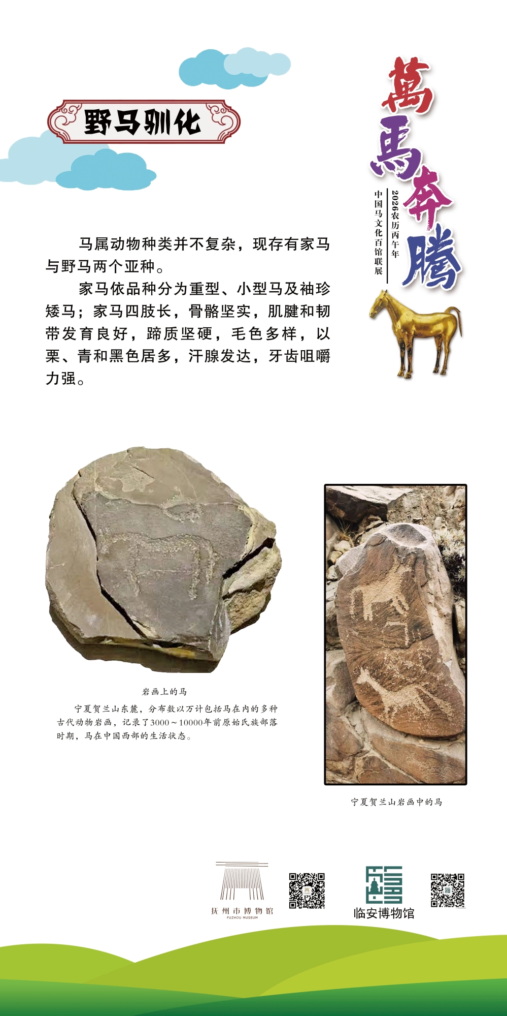 004 拷贝_看图王