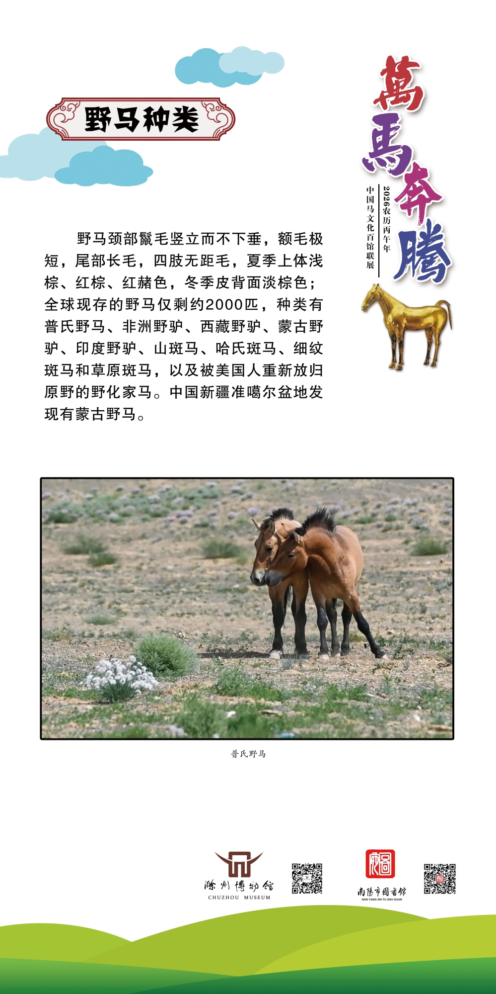 005 拷贝_看图王